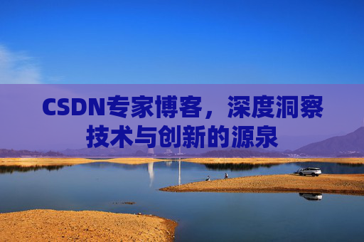 CSDN专家博客，深度洞察技术与创新的源泉